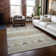  Chayden Area Rug with Non-Slip Backing