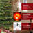 Lighted Christmas Tree