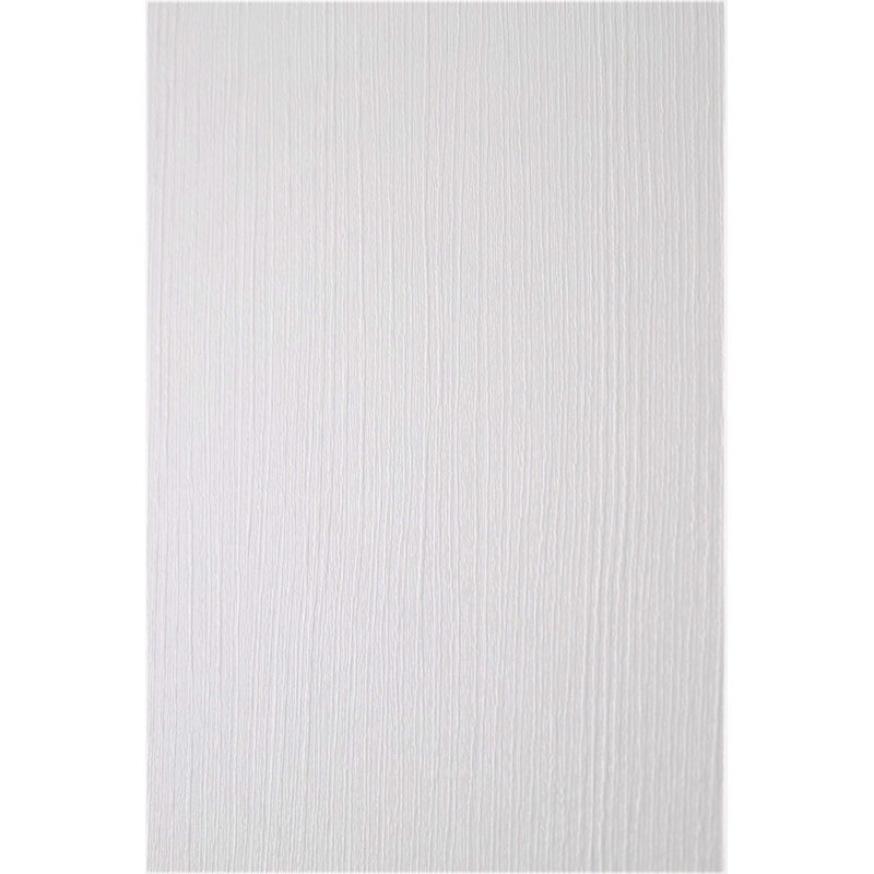 Gray Oak Frosted Glass Paneled Interior Door Slab