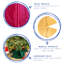 Velvet Tree Skirt-1891614976