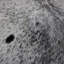 Cowhide Rug Speckled