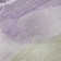 Premium Machine Washable Cerrito AMF517 Purple Rug