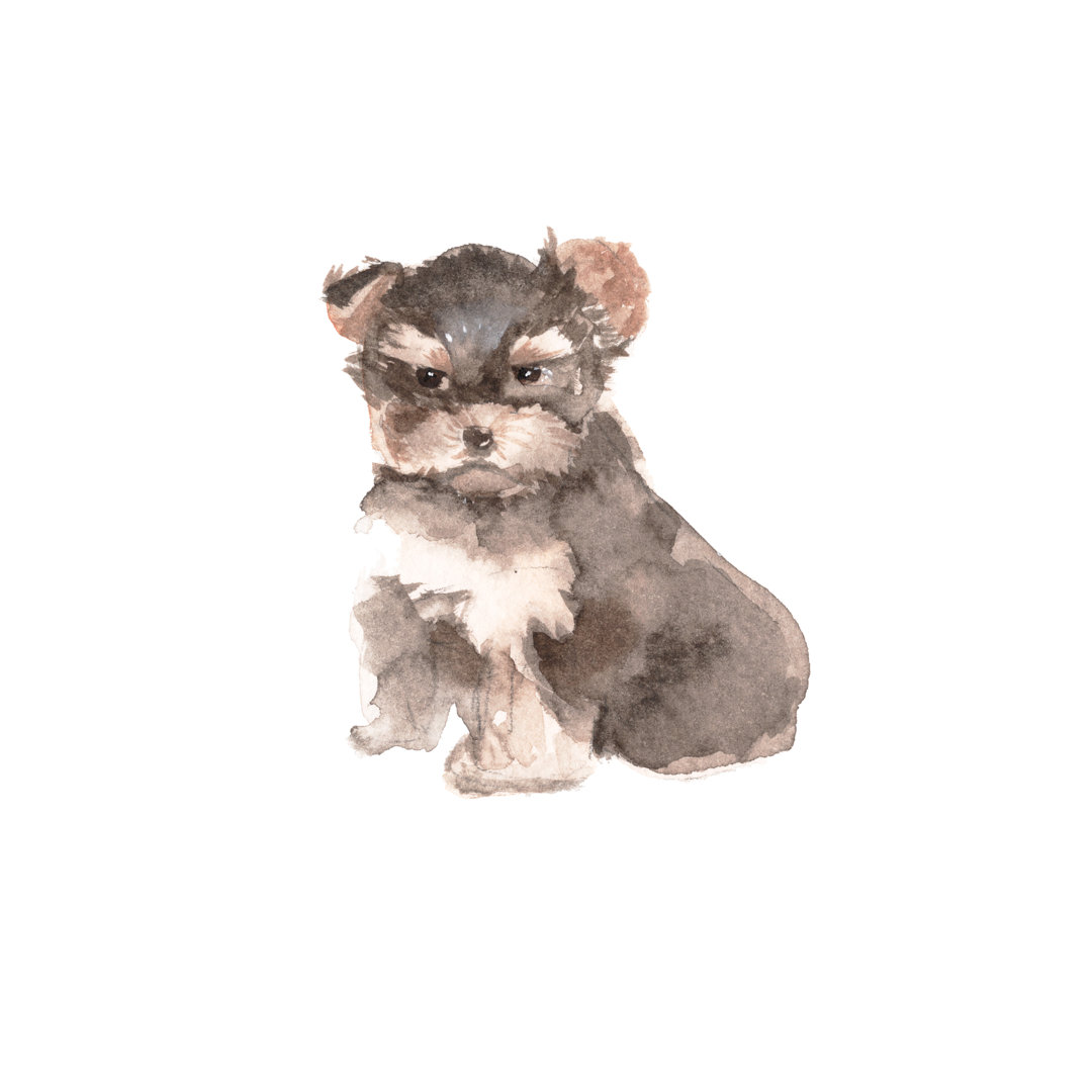 Hund Illustration von Luchioly - Drucken