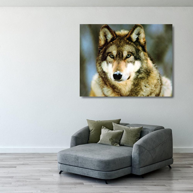 Wolf, 28" H x 36" W