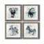 Proud Elephant - ensemble de 4 photos sur toile tendues-2050339037-2050339034