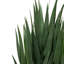 Annitte 70cm Faux Yucca Tree in Pot Liner
