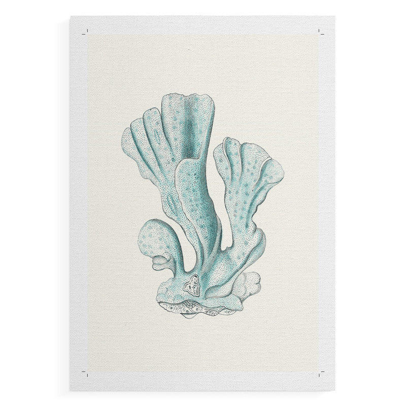 Corail antique antique - impression sur toile seulement - non encadrée, H 60 po x l 40 po