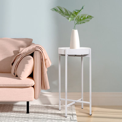 Cueto Tray Top End Table for Plants and Decor