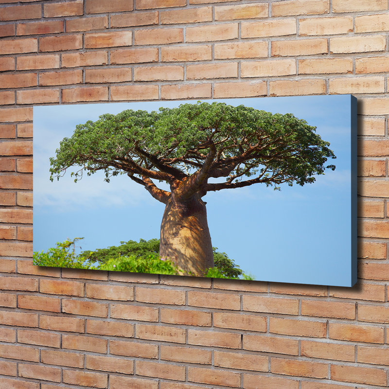 Baobab - Wrapped Canvas Print