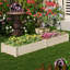 Lit de jardin surélevé en bois avec diviseur à 2 boîtes à fleurs