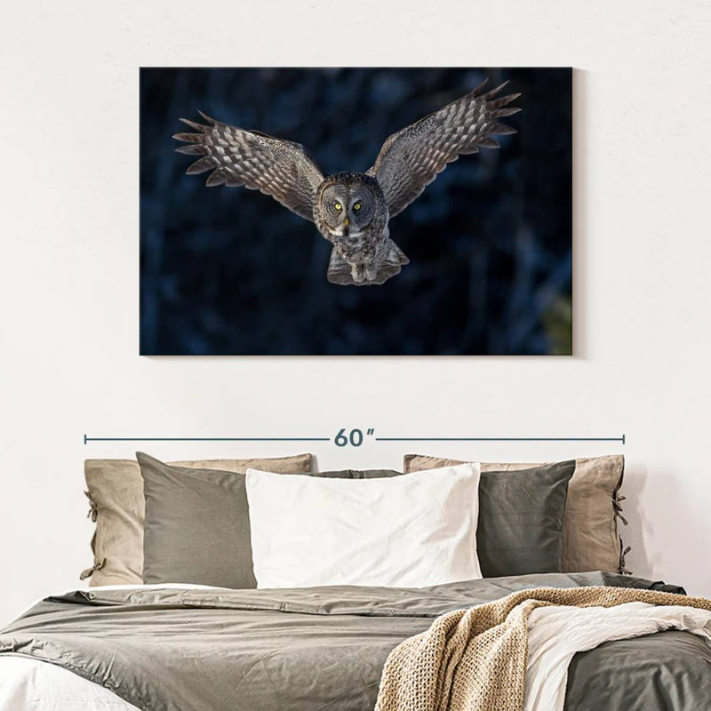 Hibou gris volant, H 32 po x l 48 po