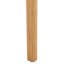 Rosetty Scallop Counter Stool-125847859