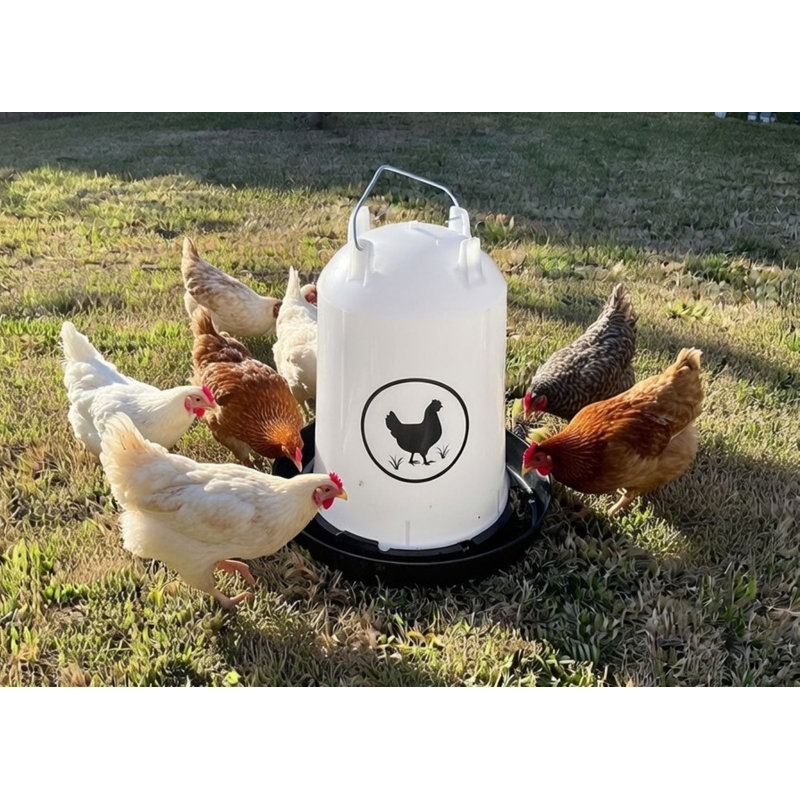 Abreuvoir à poulet 3,7 gallons - noir, Noir, 3,7 gallons