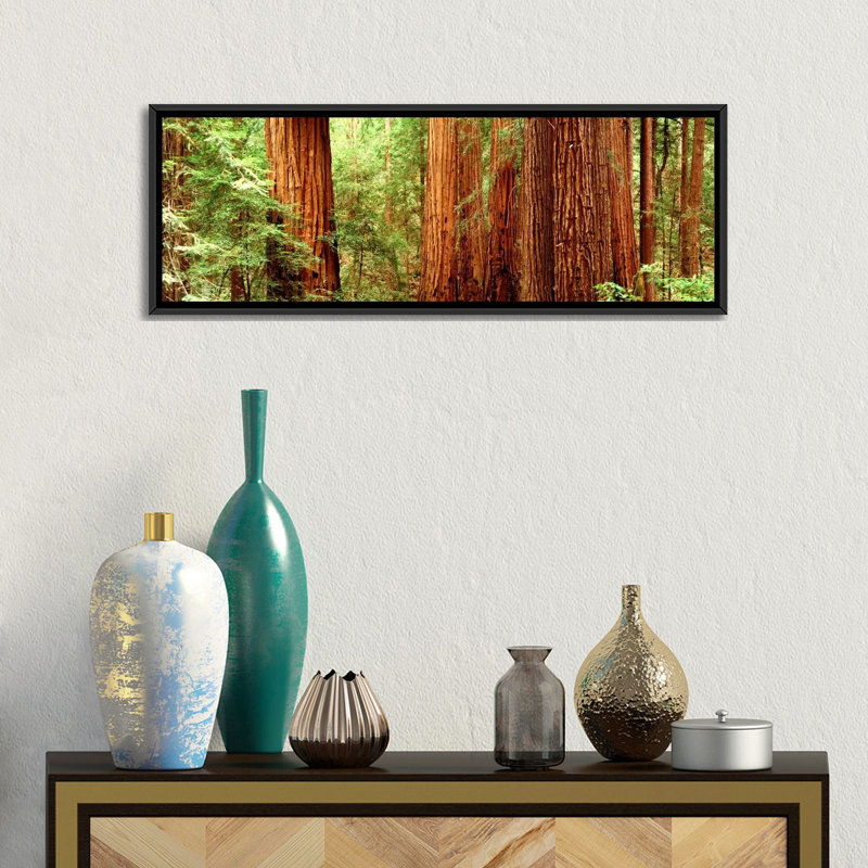 " Redwoods Muir Woods CA USA " by Panoramic Images, 24" H x 72" W x 1.5" D, Black Framed Canvas