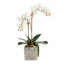 Orchid Faux Floral Arrangement in Pot