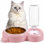 Ensemble de bols pour animaux de compagnie double avec distributeur d'eau automatique, mangeoire et abreuvoir en acier inoxydable pour chats et petits chiens, anti-basculement, sans bouche humide, facile à nettoyer