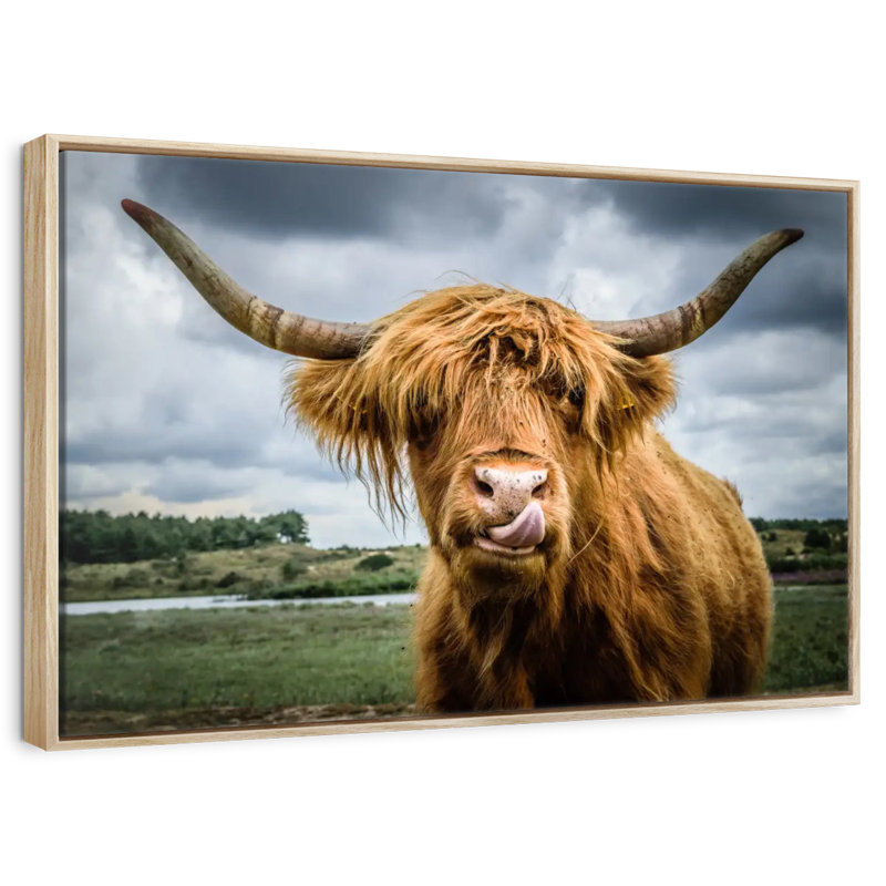 Silly Highland Cow, Cadre flottant en bois naturel, 31 po x 21 po