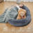 Polyester Pet Bed