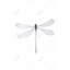 Libellule minimaliste - reproduction encadrée mat pour décoration de chambre à coucher