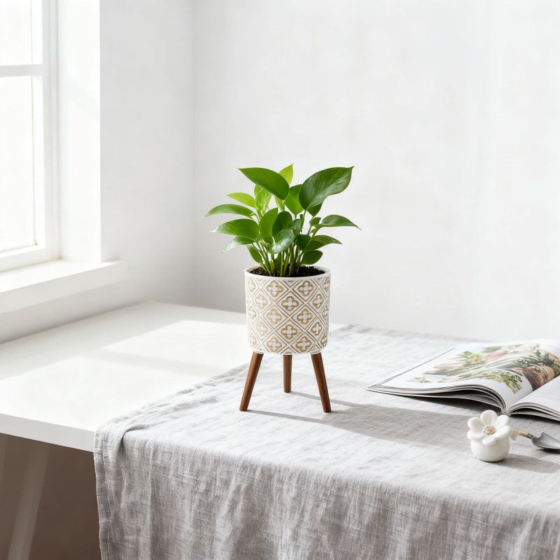 Moderne pot de fleur moderne de 12 pouces avec support intérieur et extérieur grand pot de fleur avec trous de drainage