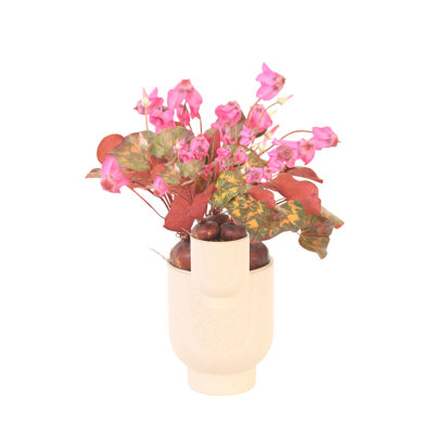 Cyclamen en pot beige