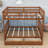 Dorethea 2 Drawer Standard Bunk Bed by Harriet Bee-302305922-330841569