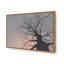 «Gnarled Tree I» par Michael Willett, reproduction d'art-1595130699-1595130701-1595130697