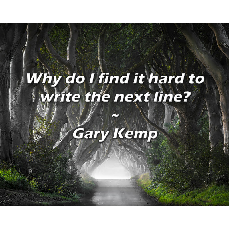 Artsy Quote "Why do I find it hard to write the next line?" By Gary Kemp Gallery Wrapped Canvas, 17" H x 24" W