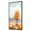 «Orange American Basswood Essence I», art mural arbre-278733382-312004650