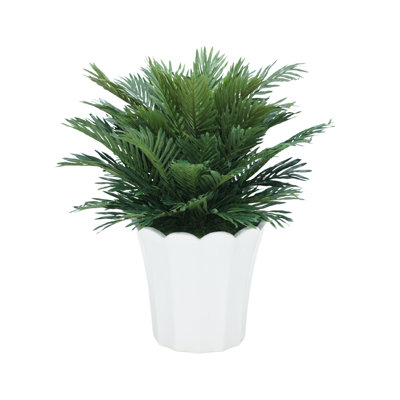 29" Parlor Palm in Glossy White Ceramic