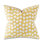 Velvet Square Pillow Cover & Insert