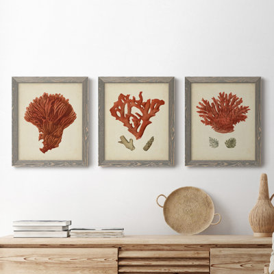 Antique Red Coral I - ensemble de 3 peintures sur toile encadrées