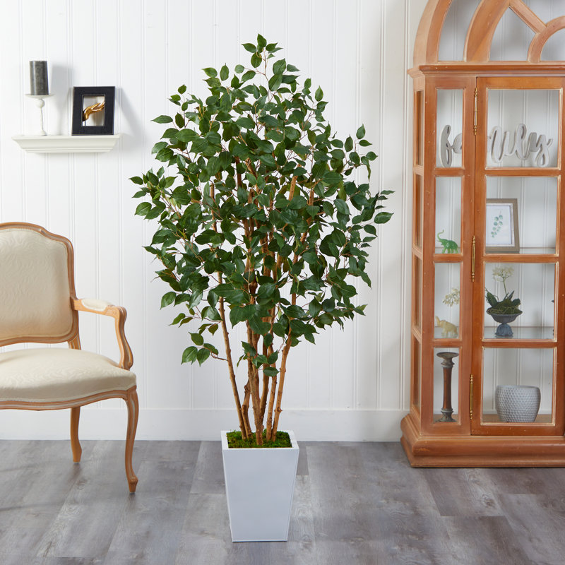Ficus artificiel 66 po en pot