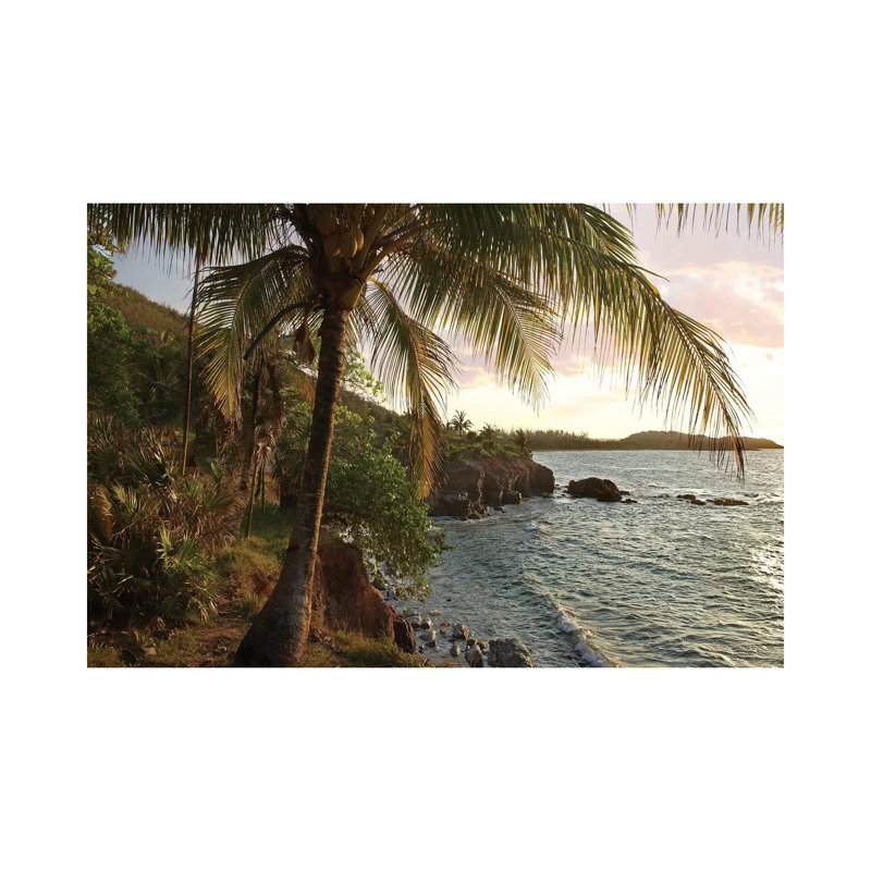 Wilkes Point At Sunset With Palm Trees, Roatan Island, Honduras by Tim Fitzharris - Wrapped Canvas Print