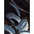 Black Framed Canvas selected