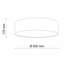 Dahlke Flush Mount