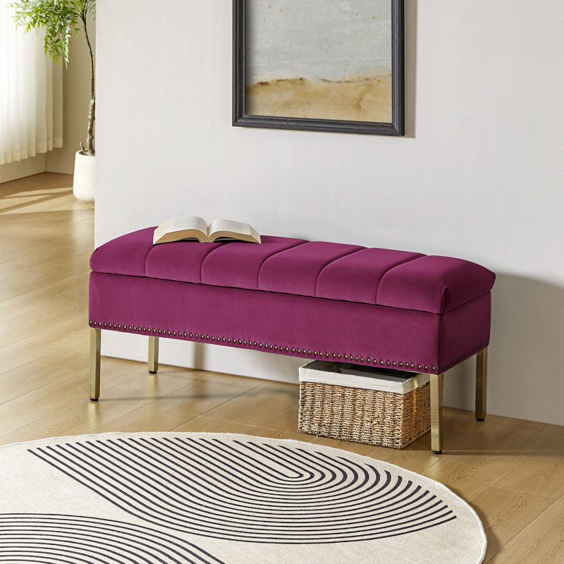 Baily 46.5'' W Modern Velvet Storage Bench, Fuchsia