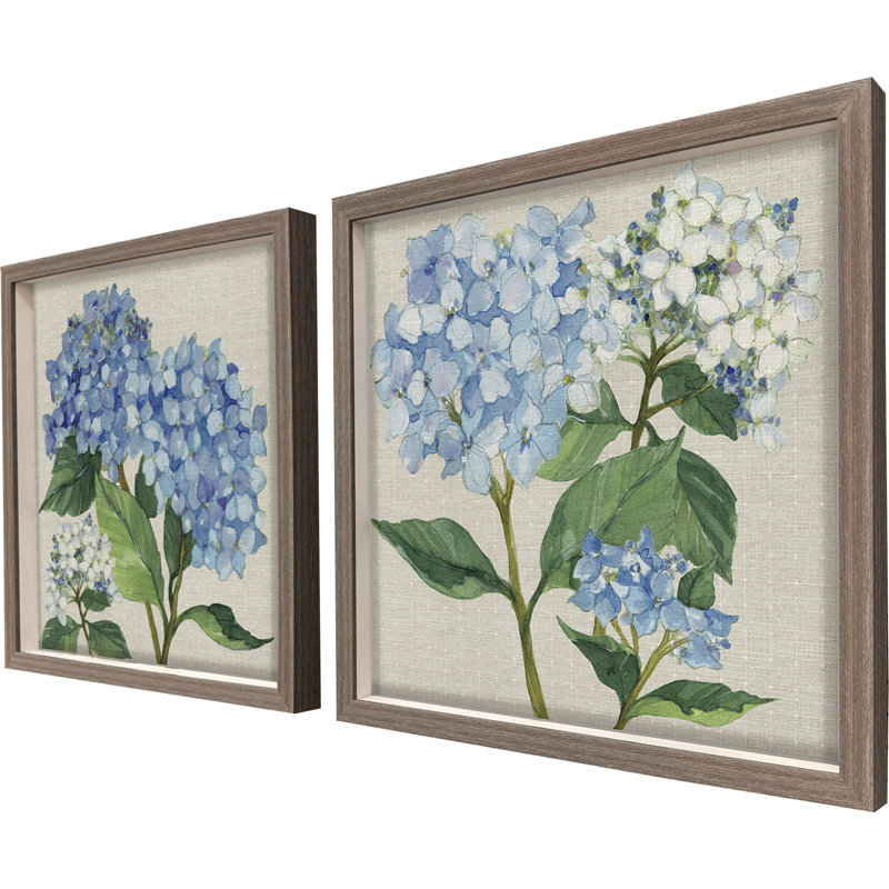 Hydrangea Study Framed Art