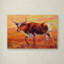 « longhorn heifer », reproduction sur toile tendue-21934643