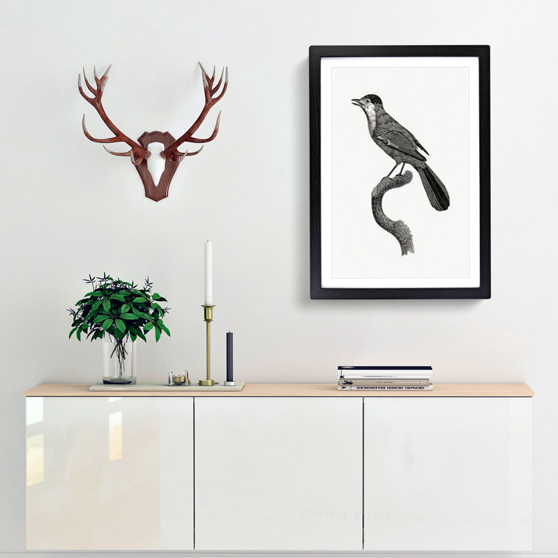 Golden Jay Bird by Jacques Barraband - Picture Frame Drawing Print, 65cm H x 48cm W x 2cm D, Black Framed
