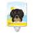 Longhair Black and Tan Dachshund