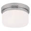Jenniferrose Glass Flush Mount