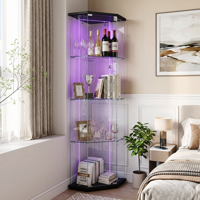 Glass 60 cm W Display Cabinet