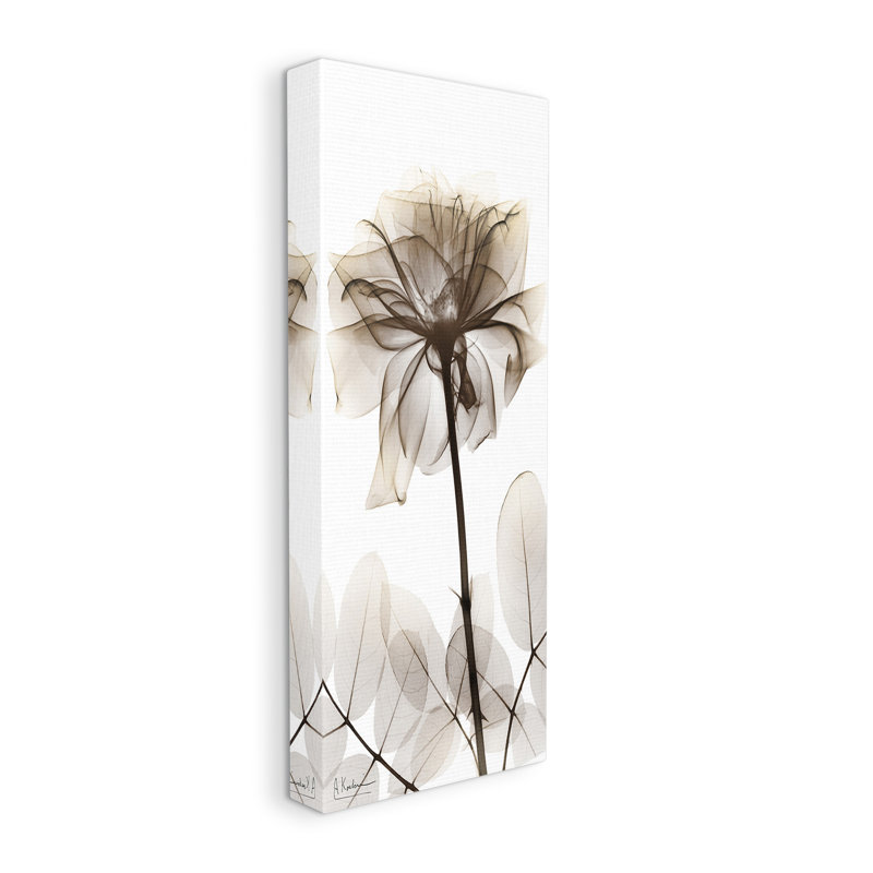 «Blooming Opaque Flower» par Albert Koetsier sur, Toile tendue, H 40 po x l 17 po x P 1,5 po