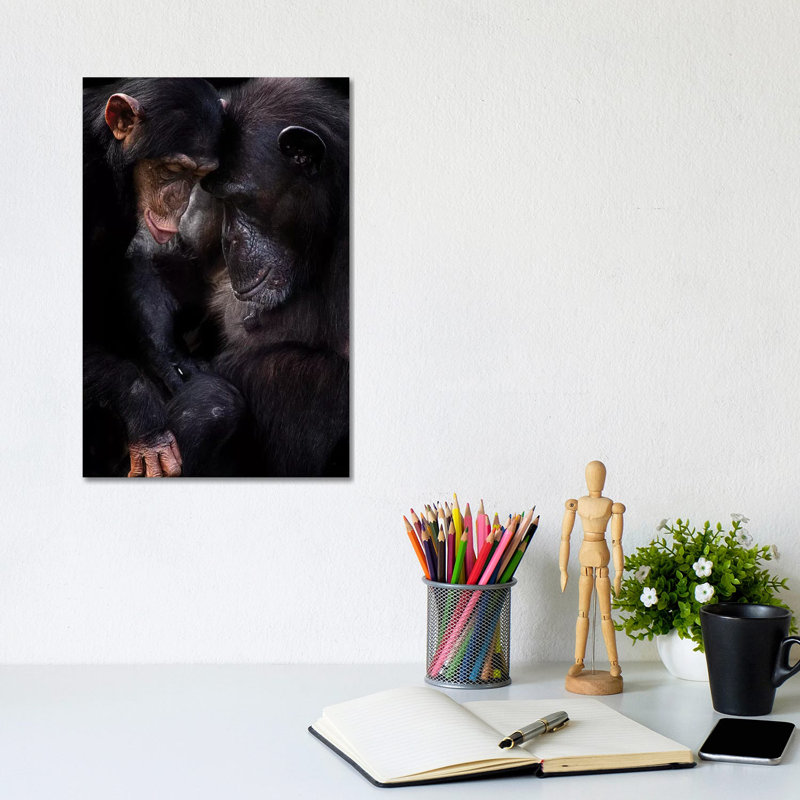 Chimpanzees by David Whelan - Wrapped Canvas Gallery-Wrapped Canvas Giclée, 20.32 cm H x 30.48 cm W