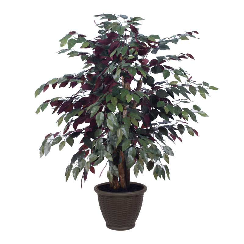 Arbre en pot artificiel Capensia, Brun