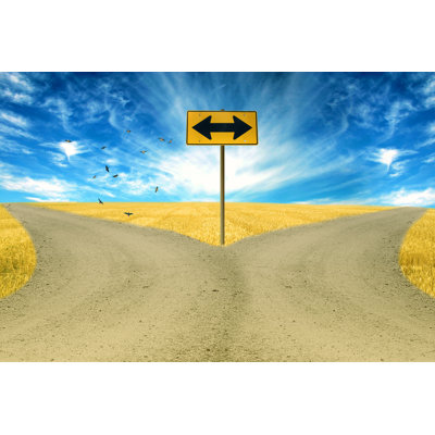 Countryside Landscape 1 Piece Wrapped Canvas Wall Art