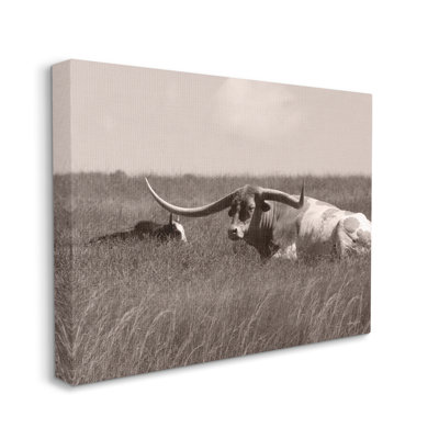 Bétail Longhorn se prélassant au soleil de campagne par Lori Deiter - photographie