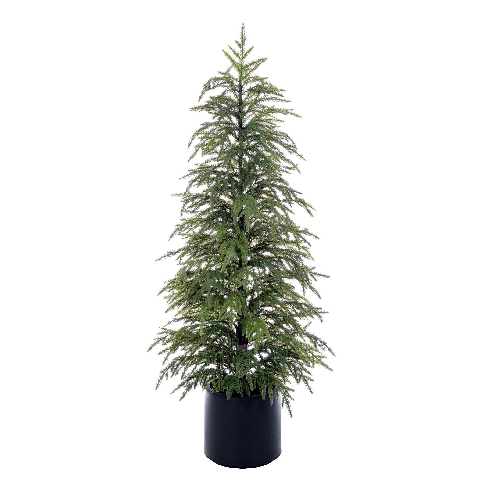 Pine Christmas Tree, 4