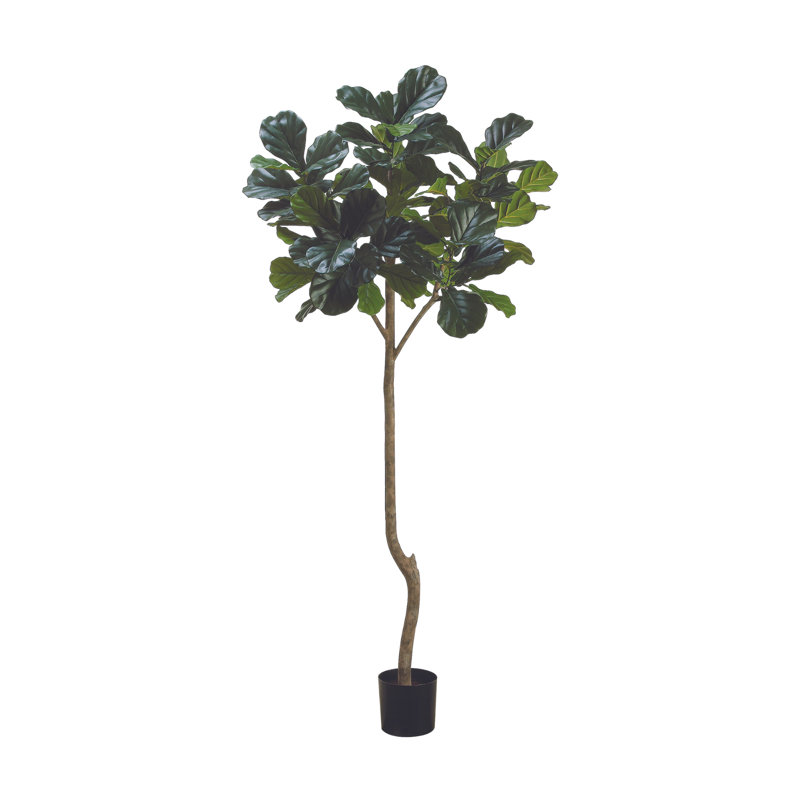 7' Fiddle Leaf Tree with Bamboo Planter